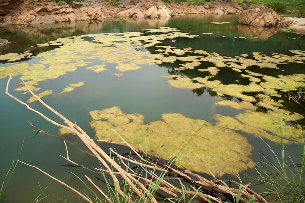 Water Quality