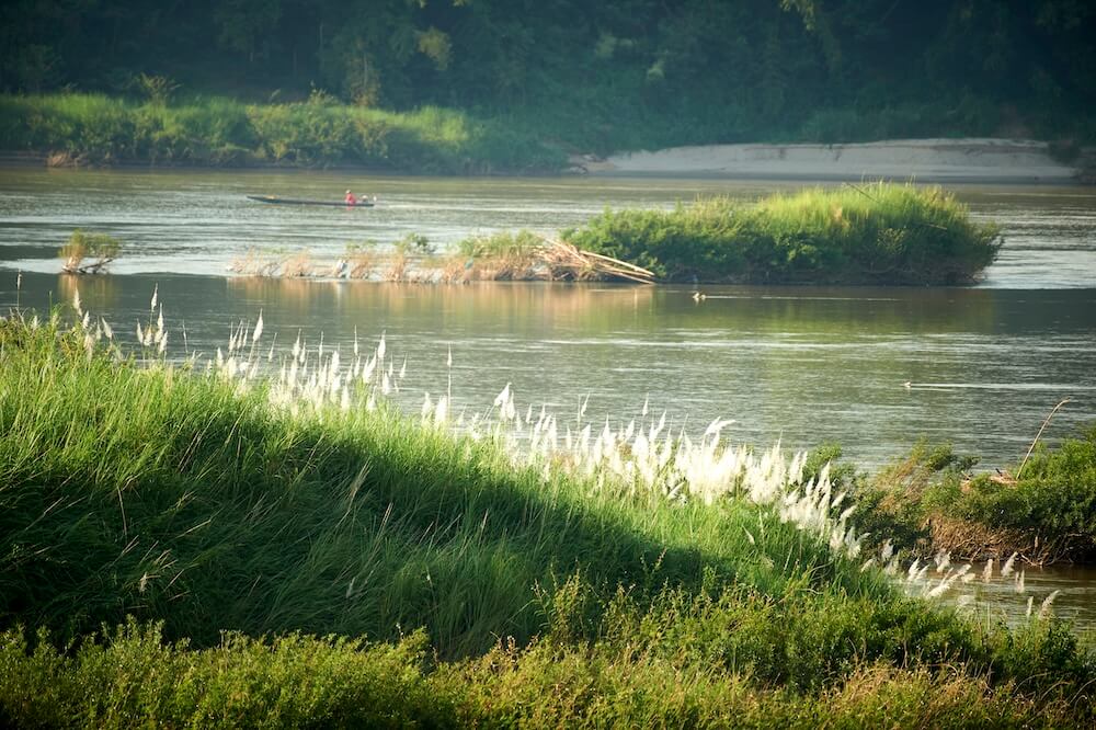 Aquatic Ecology
