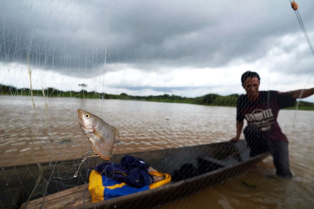 Fish and Fisheries