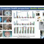 VDO recorded PDG 5   Aquatic Ecology