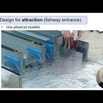 VDO recorded PDG 6 2   Fish Passage