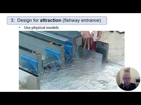 VDO recorded PDG 6 2   Fish Passage