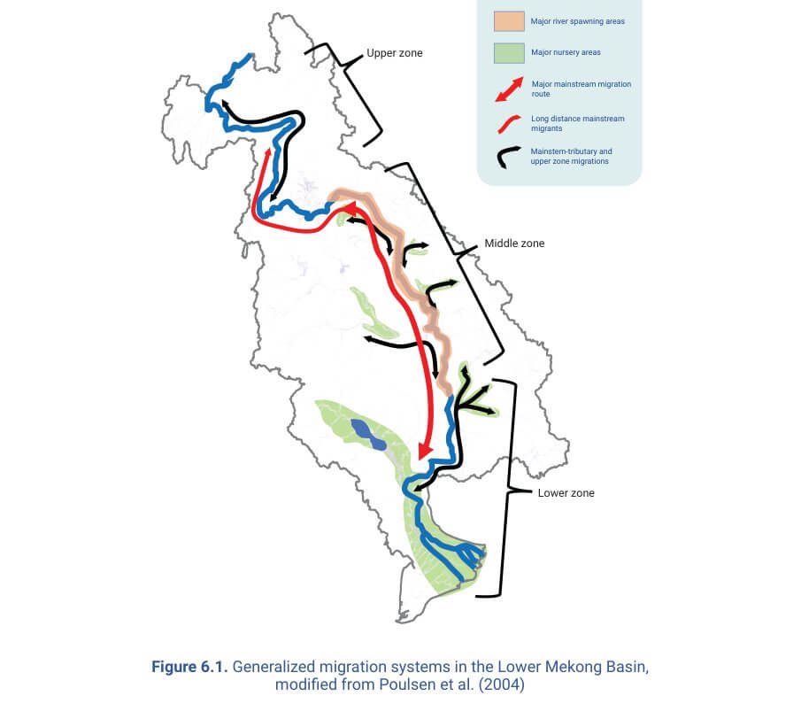 Figure 6.1. Generalized migration systems in the Lower Mekong Basin, modified from Poulsen et al. (2004)